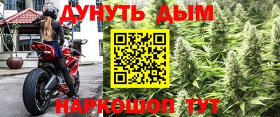 apvp Будённовск