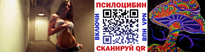 наркота  Дубна  Галлюциногенные грибы MAGIC MUSHROOMS 