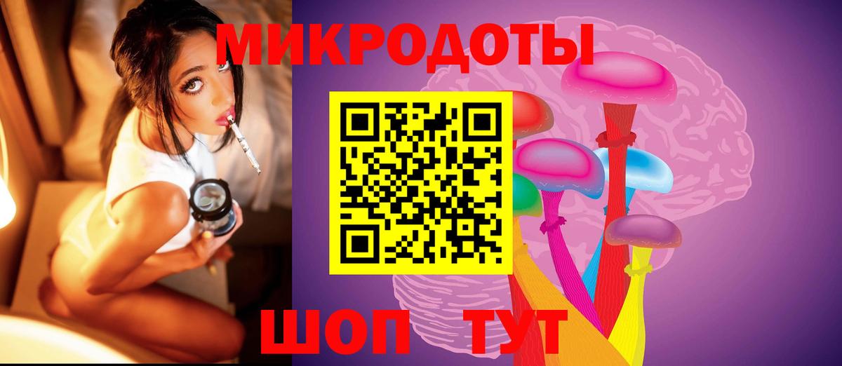 Галлюциногенные грибы Psilocybe Дубна